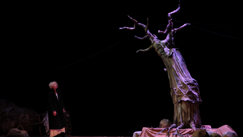 Şüküfə Yusupovanın oynadığı monotamaşanın premyerası olacaq - FOTO/VİDEO