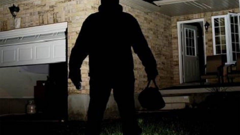 Qızıl oğrusu tutuldu