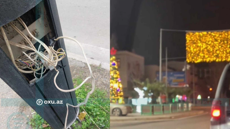 Əmircanda qeyri-adi yeni il sürprizi: Dekor işıqlarını İŞIQFORA qoşdular - VİDEO