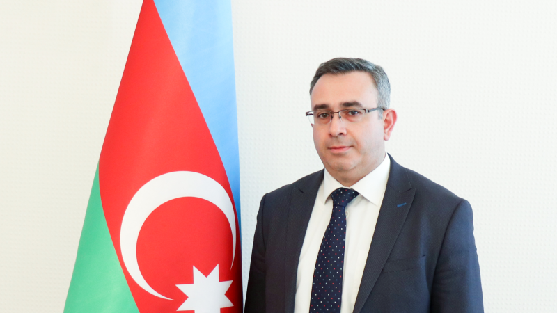 Səhiyyə nazirinin müavini: Semaşko modeli sovet dövründə yaxşı işləyirdi