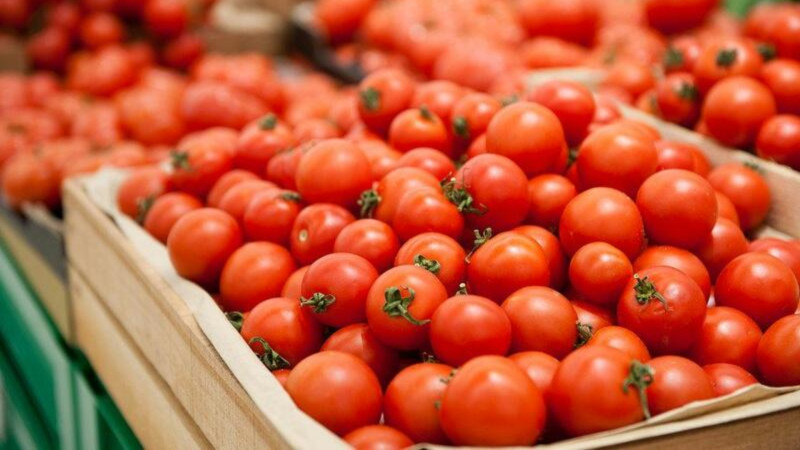 Virus aşkarlanan pomidor məhsulu partiyası məhv edilib