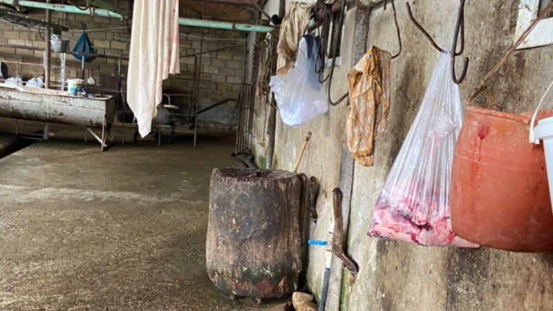 Yasamalda istehsala yararsız ətin satışının QARŞISI ALINDI - FOTO
