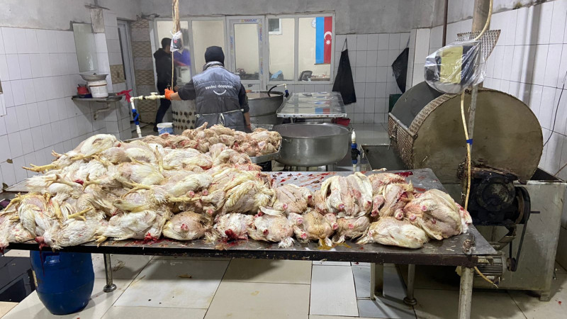 Sabunçuda ev quşlarının kəsimi məntəqəsi bağlandı 