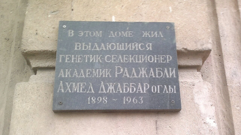 Bakıda adına məşhur küçə olan Əhməd Rəcəbli kimdir?