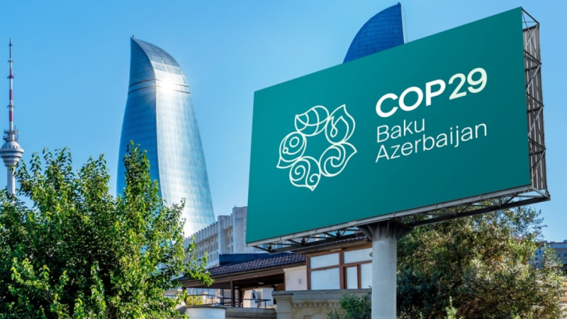 COP29 könüllülərinə xüsusi pul mükafatı ayrıldı
