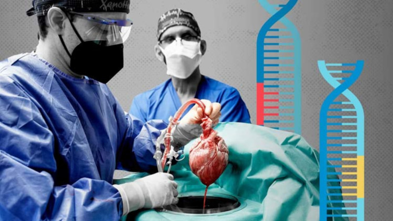 Azərbaycanda 100 nəfər öləndən sonra orqanlarını bağışlamaq İSTƏYİR