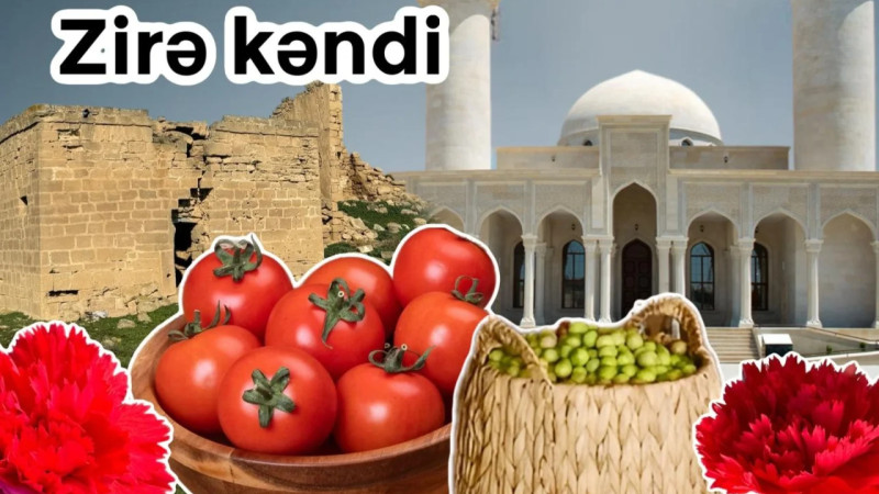 Pomidoruyla məşhur Zirə – Bakının kəndləri + VİDEO