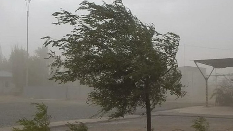 Bakıda külək ölümə səbəb oldu