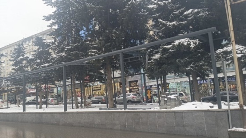 Əhmədlidə ağacları əhatəyə alıb obyekt tikirlər - VİDEO