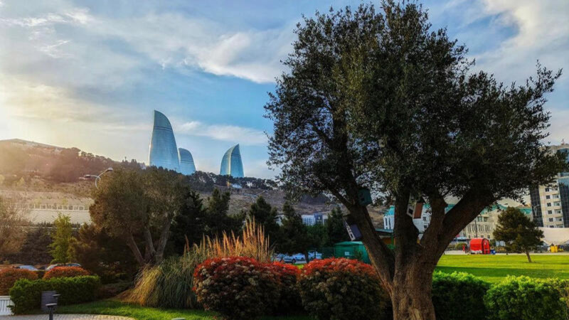 8 mart günü Bakıda 18 dərəcə isti olacaq