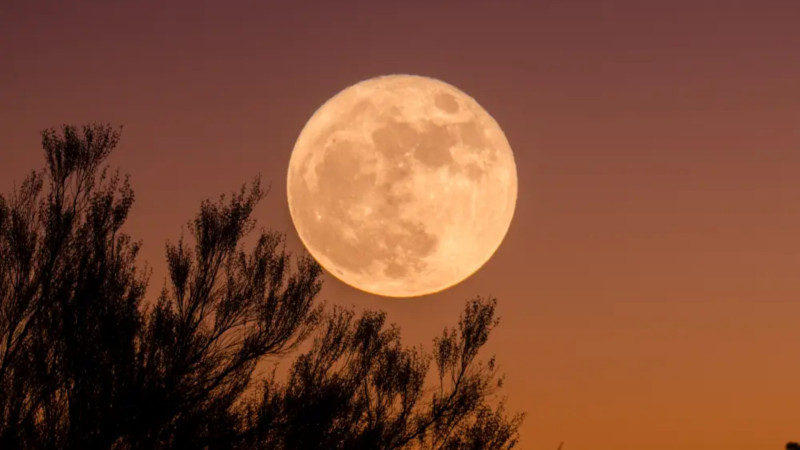 İlin ilk Ay tutulması başlayıb