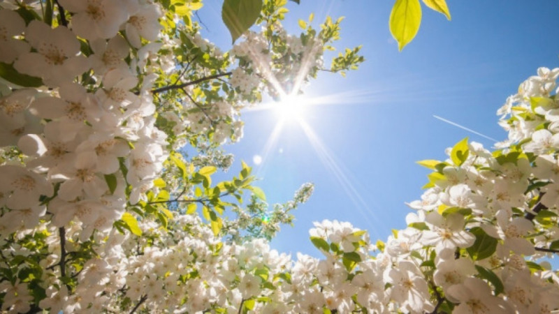 Bazar günü 24 dərəcə isti olacaq