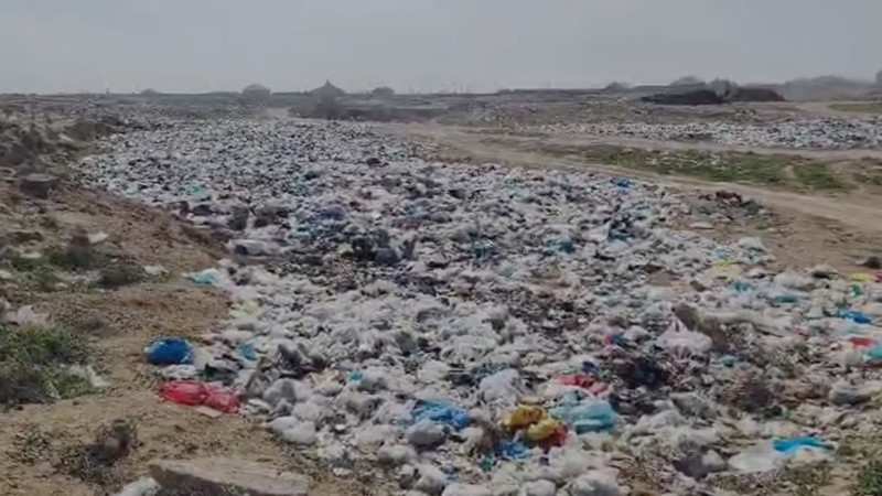 Türkanda zibil problemi: Tullantılar yaşayış evlərinin yaxınlığında boşaldılır - VİDEO