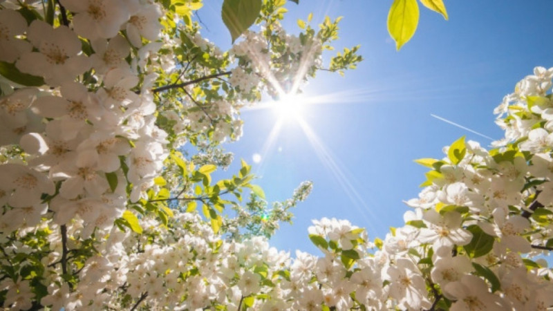 Bazar günü 21 dərəcə isti olacaq