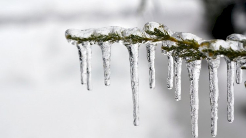 Bakıda sabah şaxta olacaq - PROQNOZ