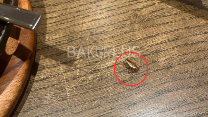 Müştəri restorandakı natəmizlikdən gileyləndi: “Yemək masasında tarakan gördük”