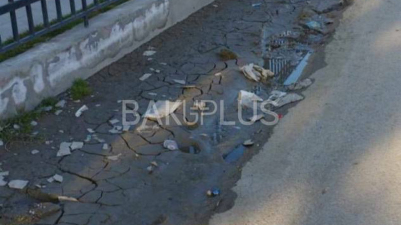 Sarayın problemi bitmək bilmir - Baxımsız yollar, sahibsiz itlər, zülmət küçələr… + FOTO Sarayın problemi bitmək bilmir - Baxımsız yollar, sahibsiz itlər, zülmət küçələr… + FOTO