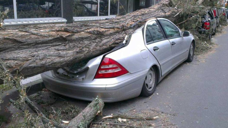 İntensiv yağan yağışlar zamanı dəymiş ziyanı kim ödəyəcək? – ÖZƏL AÇIQLAMA