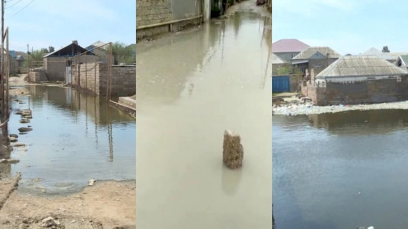 “Abşeronun bir çox yerində tikinti aparmaq olmaz” - PROFESSOR Elçin Əliyev