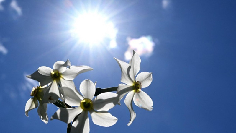 Şənbə günü Bakıda hava necə olacaq? 