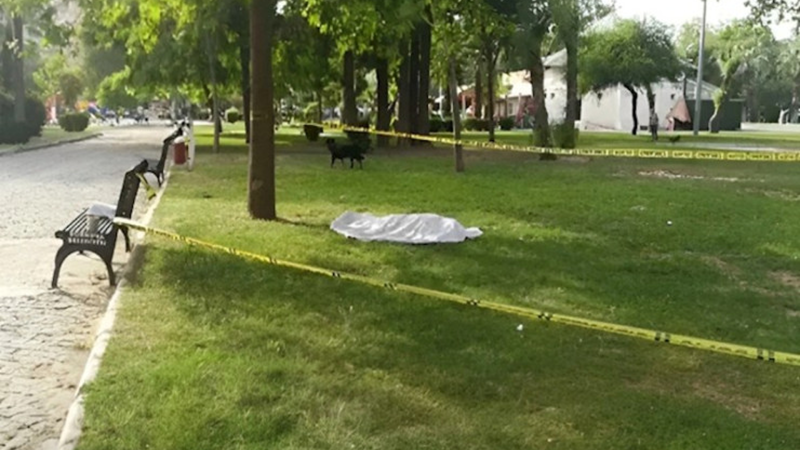 Bakıda AİLƏ DRAMI: Arvadını parkda öldürdü