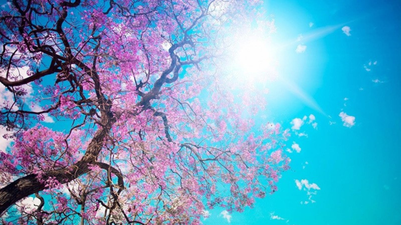 Sabah 28 dərəcə isti olacaq