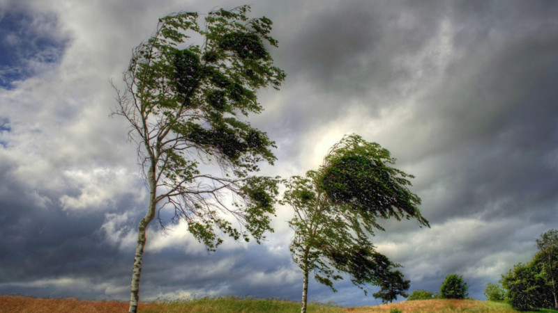 Bu gün hava küləkli olacaq - XƏBƏRDARLIQ