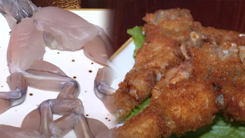 Bakıda məşhurlaşan qurbağa əti - Ziyandır + VİDEO  Bakıda məşhurlaşan qurbağa əti - Ziyandır + VİDEO