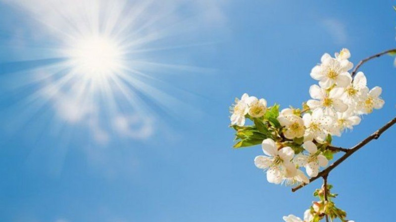 Bazar günü Bakıda 29 dərəcə isti olacaq Bazar günü Bakıda 29 dərəcə isti olacaq