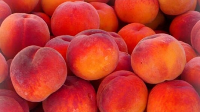 Bakıda 50 manata şaftalı - Bazarlarda əl yandıran QİYMƏTLƏR + VİDEO