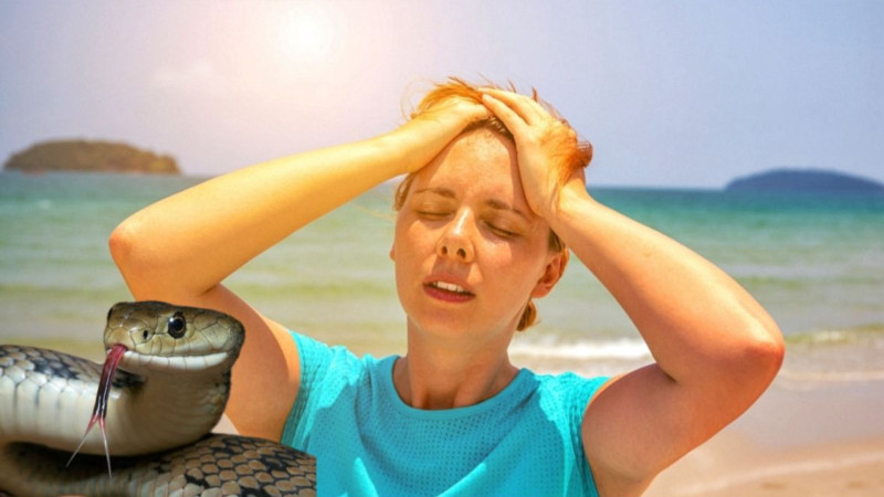 Toksikoloqdan xəbərdarlıq: “Özünüzü ilansancma, günvurma və zəhərlənmədən qoruyun”