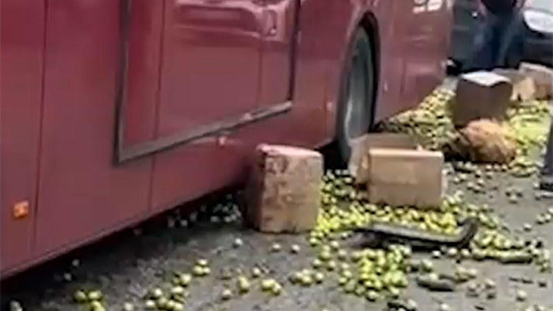 “BakuBus”un avtobusu “Ford”la toqquşdu, meyvələr yola dağıldı - VİDEO “BakuBus”un avtobusu “Ford”la toqquşdu, meyvələr yola dağıldı - VİDEO