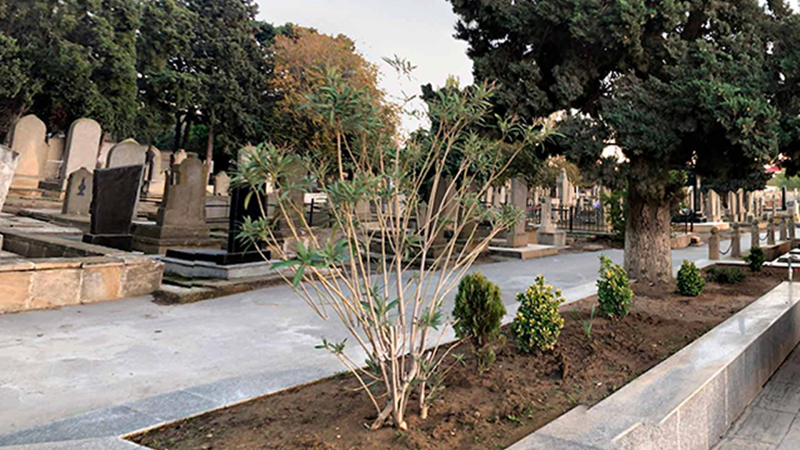 Qəbiristanlıqda 14 yaşlı qıza əxlaqsızlıq edənə 4 il həbs Qəbiristanlıqda 14 yaşlı qıza əxlaqsızlıq edənə 4 il həbs