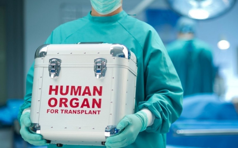 Cari ildə həyata keçirilən orqan transplantasiyası əməliyyatlarının nəticəsi açıqlanıb
