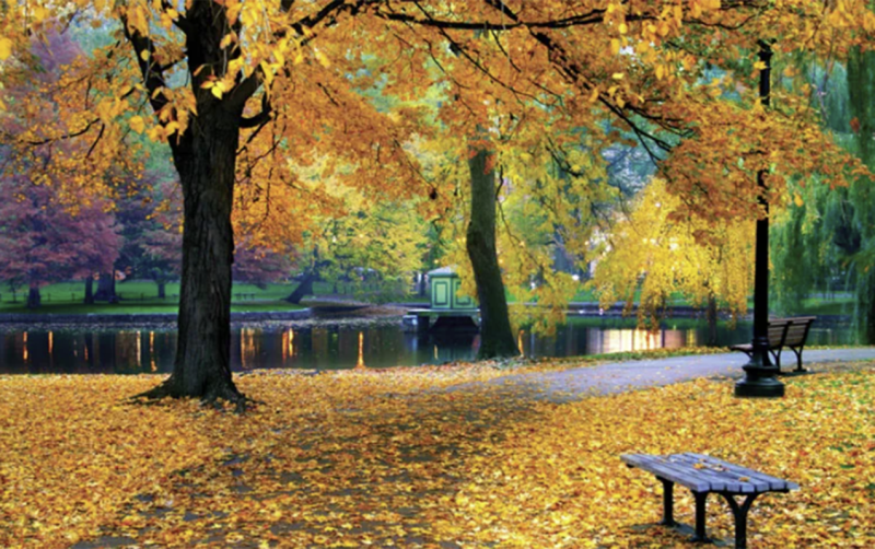 Sabah Bakıda hava necə olacaq?