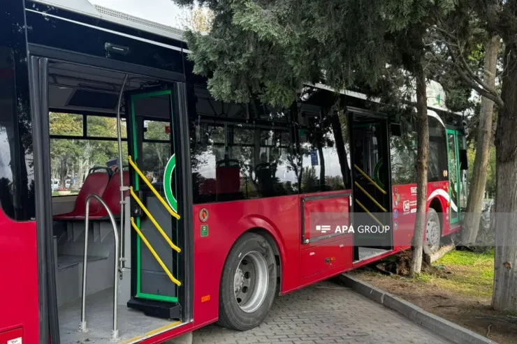 Avtobus ağaca çırpıldı