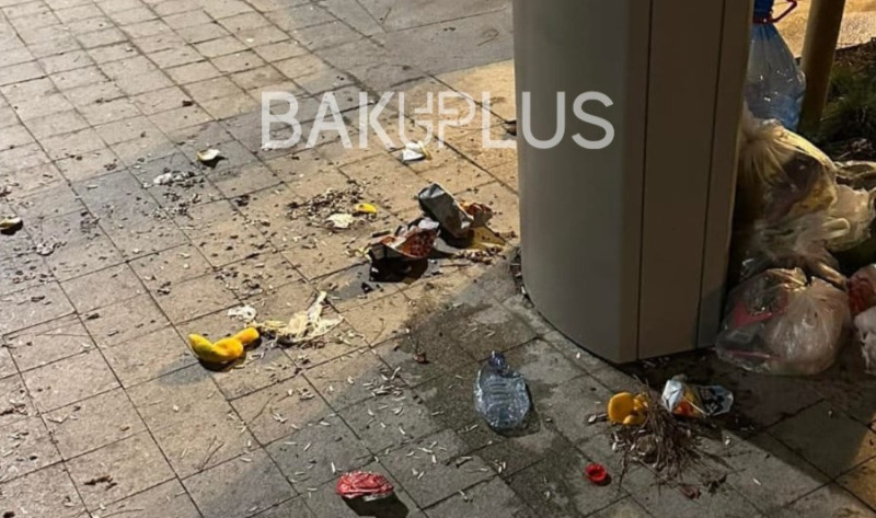 Yeni salınmış parkda ürəkağrıdan mənzərə - FOTO