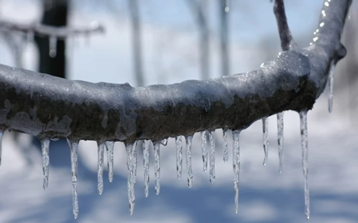 Sabah Bakıda şaxta olacaq!