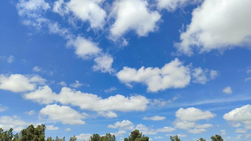 Sabah hava yağmursuz keçəcək