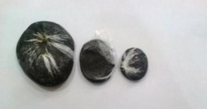 Polis 7,3 kiloqramdan artıq narkotik vasitə aşkarladı