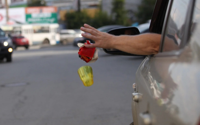 Avtomobildən küçəyə zibil atan sürücü həbs edildi