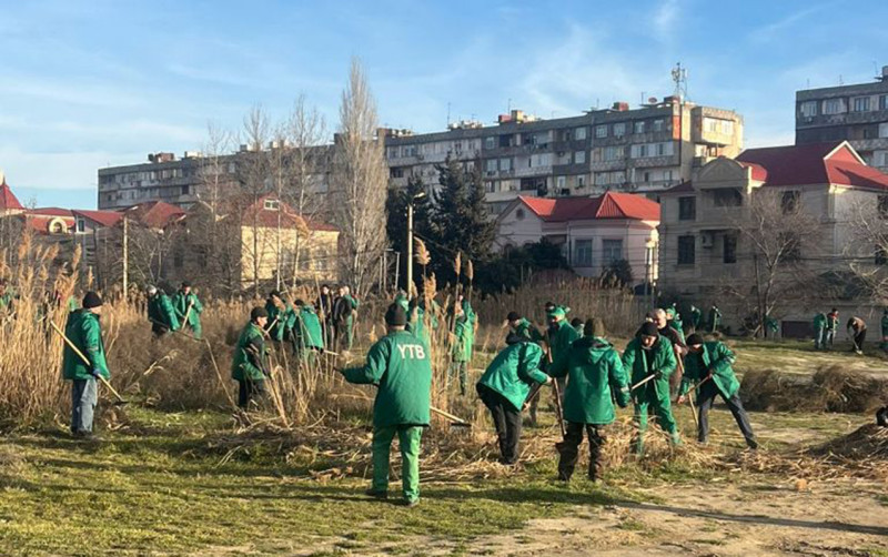 Pitomnik bağı ilə bağlı AÇIQLAMA