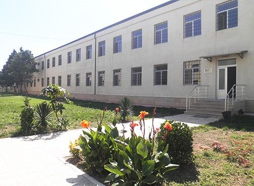 Azərbaycanda məşhur xəstəxanada ƏMƏLİYYAT