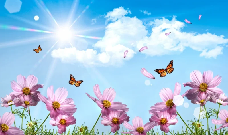 Sabah Bakıda 17 dərəcə isti olacaq