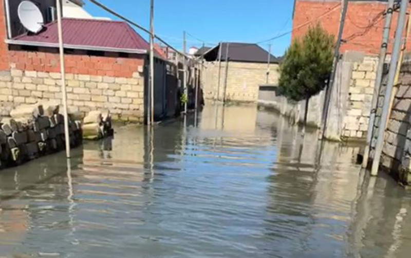 Masazırda yüzlərlə həyəti su basıb