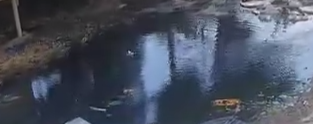 Binəqədidə biabırçı vəziyyət
