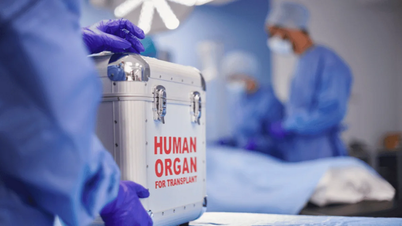 Bu il 60-a yaxın böyrək, 30-a yaxın qaraciyər transplantasiyası icra edilib