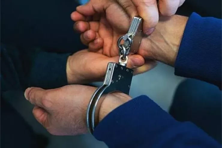 Bu il Azərbaycanda 288 kriminal qrup zərərsizləşdirilib