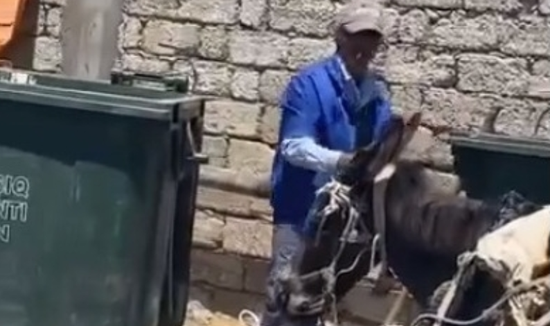 Bakının bu ərazisində zibili eşşək arabası ilə yığırlar
