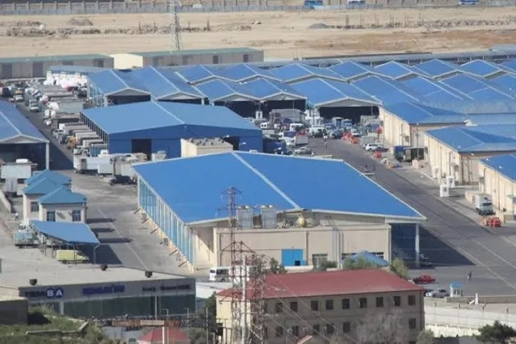 Meyvəlidən fındıq oğurlayan arabaçılar TUTULDU